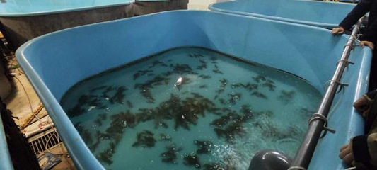 【中國日報網】新征程再奮斗,新疆吉木乃調研學習拓視野