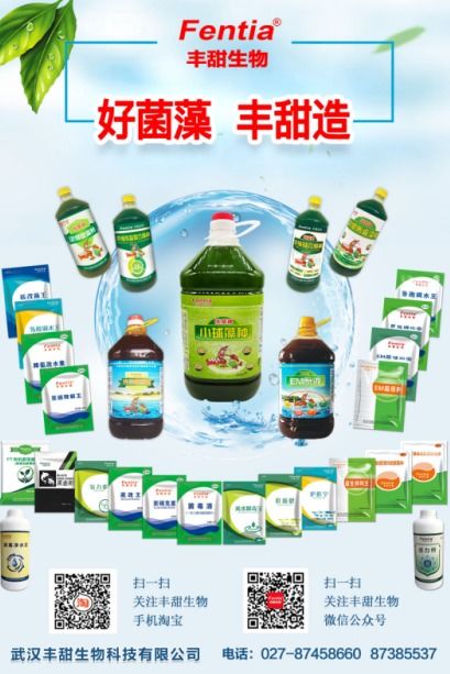 水產(chǎn)養(yǎng)殖博覽會新亮點呈現(xiàn)