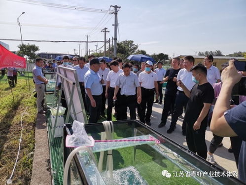 新品種青蝦 太湖2號 在全國水產(chǎn)綠色健康養(yǎng)殖技術(shù)推廣 五大行動 現(xiàn)場觀摩活動中展