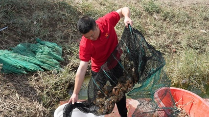 內(nèi)陸海鮮的奇跡 一師阿拉爾市水產(chǎn)養(yǎng)殖技術(shù)創(chuàng)新引領(lǐng)市場(chǎng)熱潮