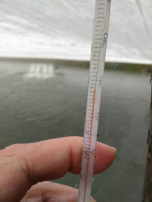 珠海農發中心深入基層，科學開展水產養殖防寒減災工作