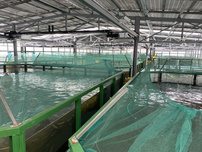 浙江首批“未來農場”公布 十大休閑觀光新地標，體驗未來農業新魅力